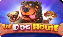 The Dog House prime casino